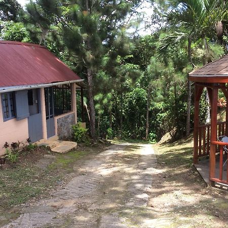 Mahogany Ridge Arouca Exterior foto