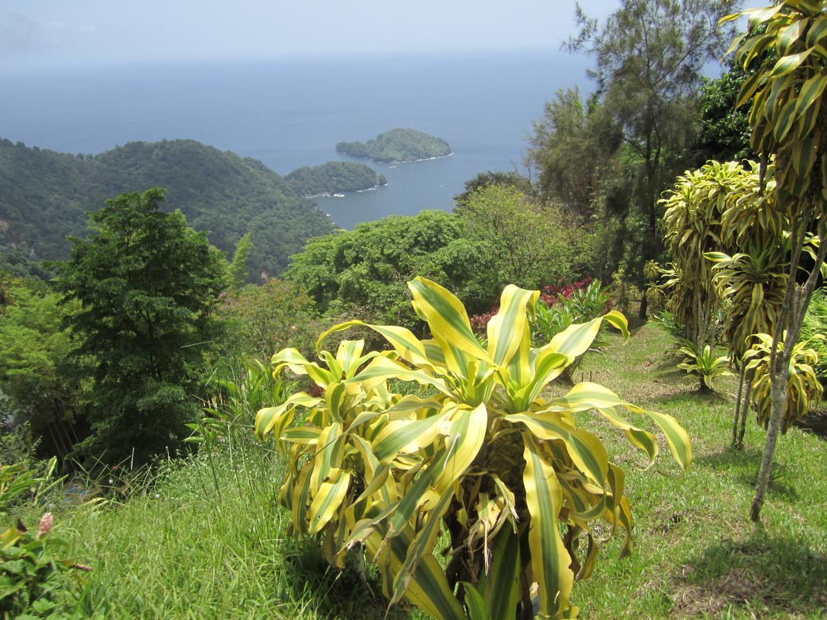 Mahogany Ridge Arouca Exterior foto